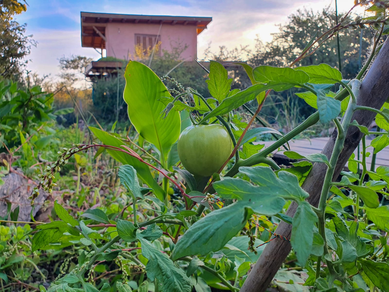 Ecohostel