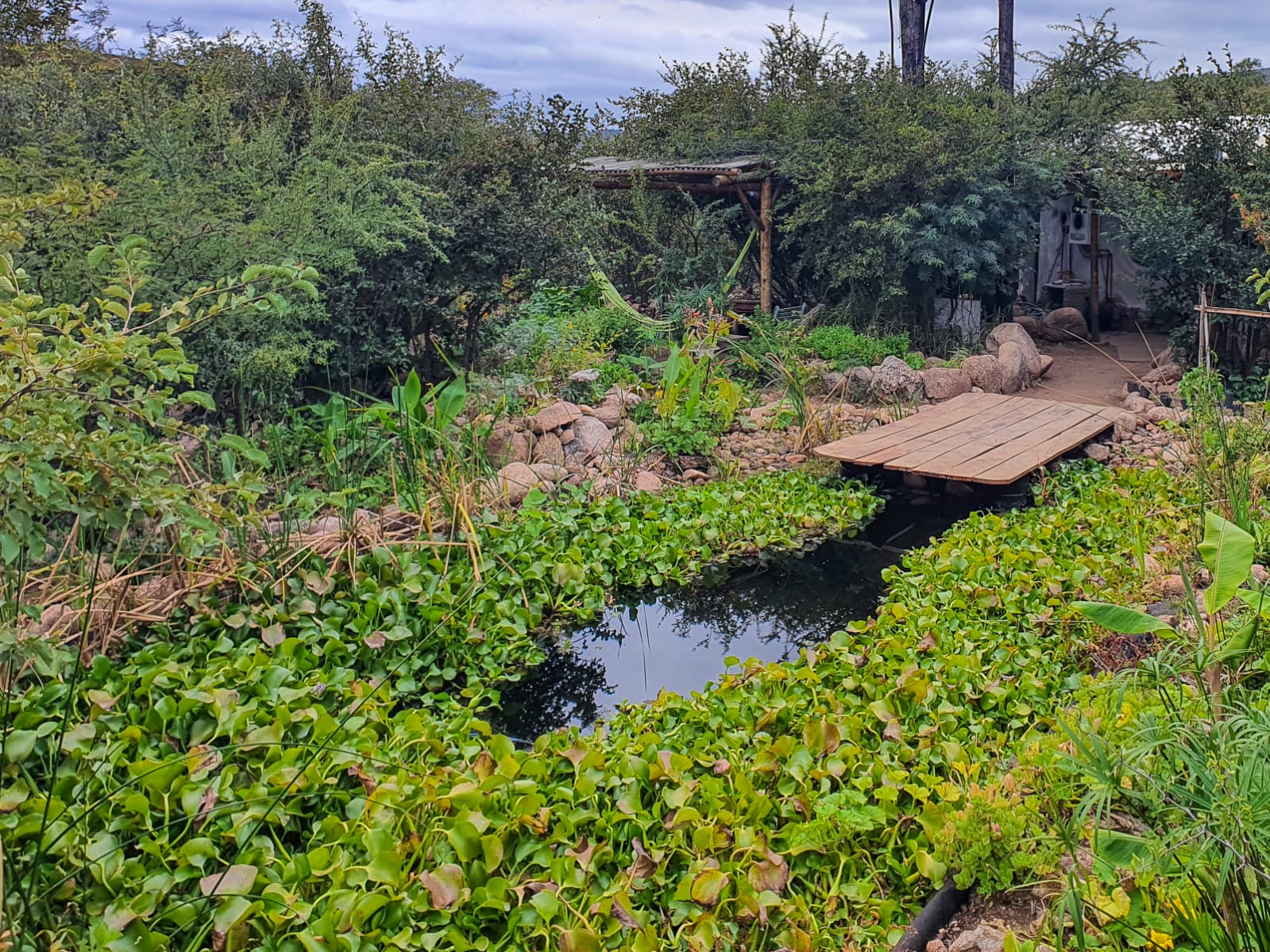 Ecohostel